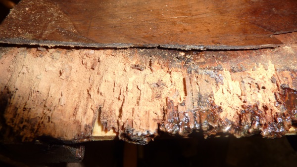 Rotten base side of longcase clock